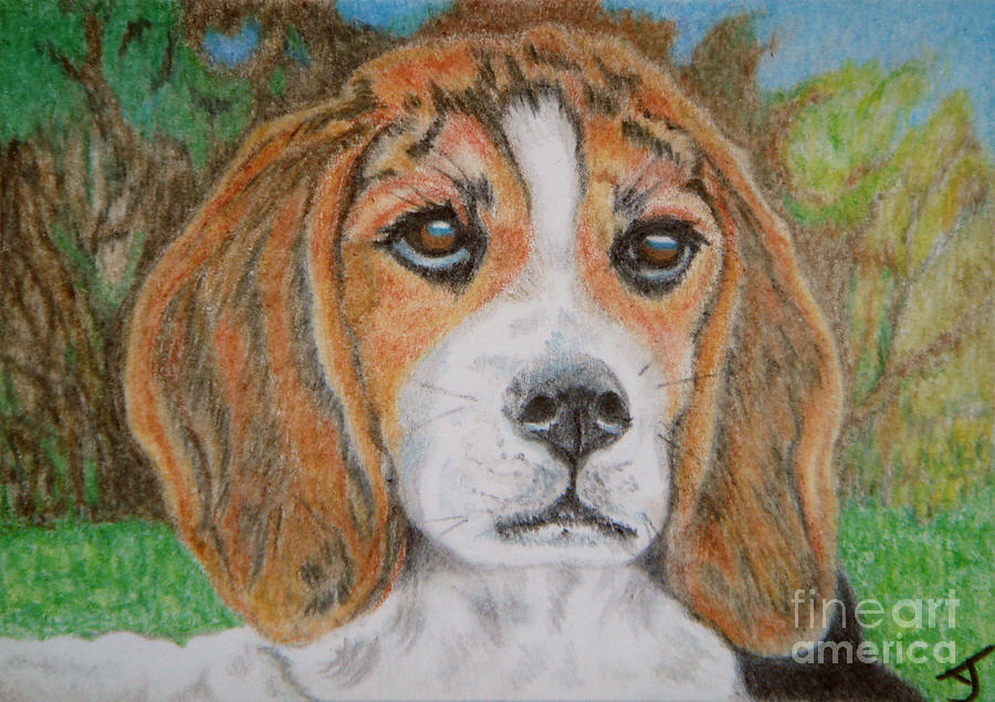 Puppy Love ACEO Drawing by Yvonne Johnstone