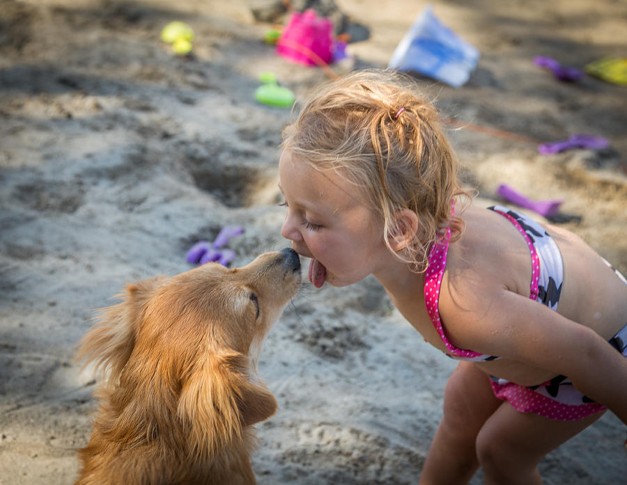 Puppy Love Photograph by Brad Stinson