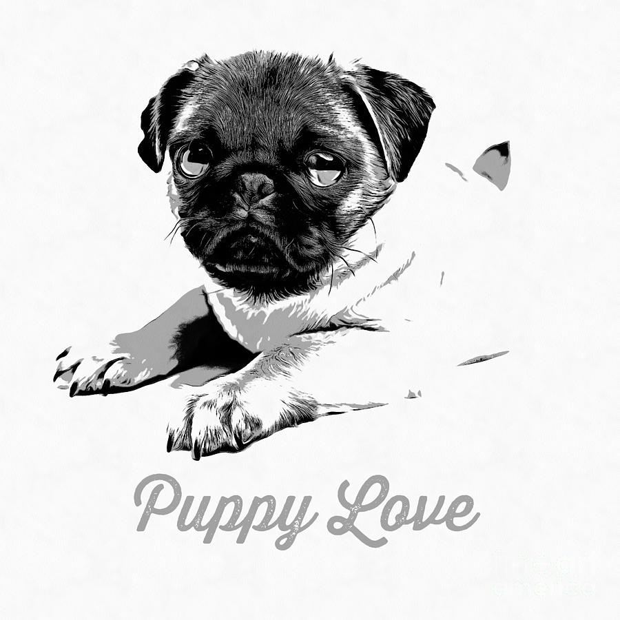 Animal Digital Art - Puppy Love by Edward Fielding