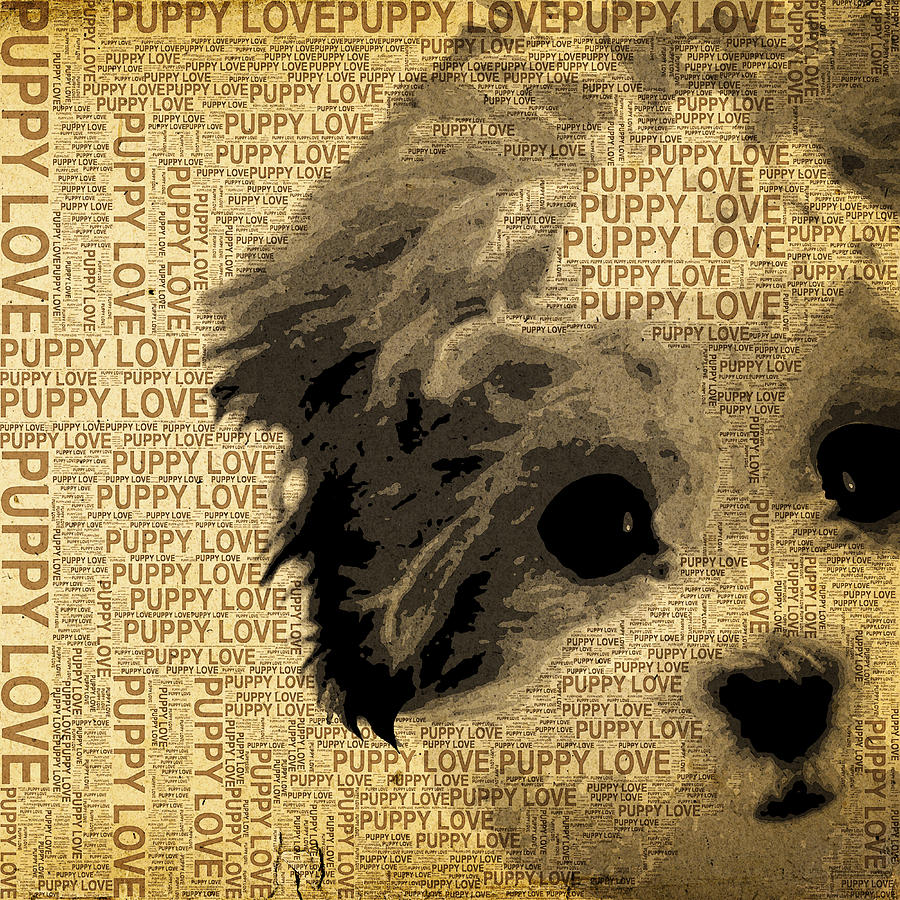 Nature Mixed Media - Puppy Love by Stacey Chiew
