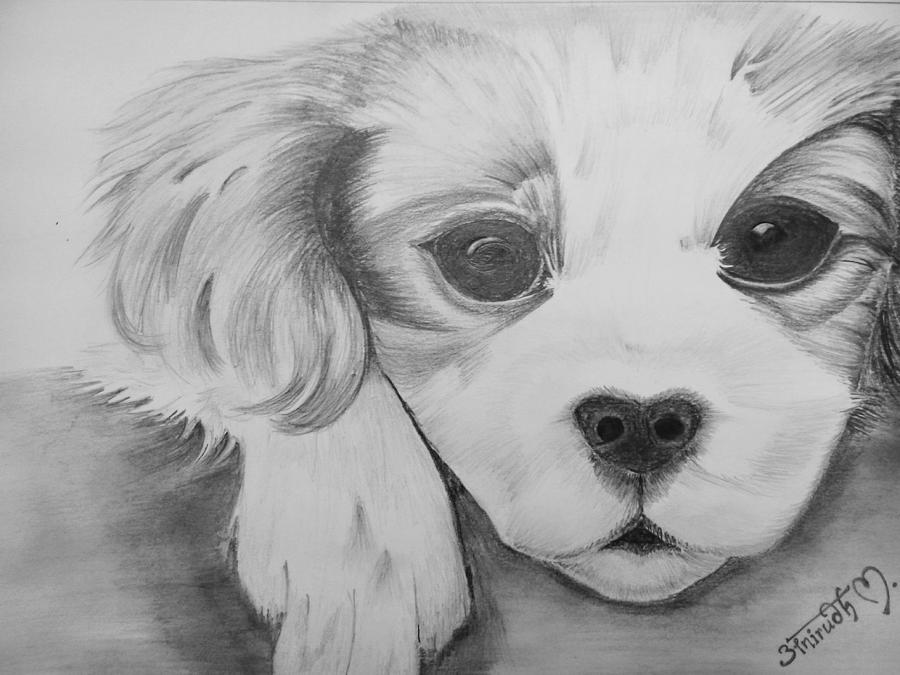 Puppy dog hand drawn sketch Royalty Free Vector Image
