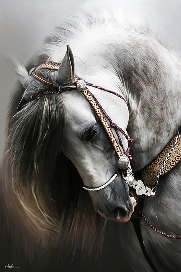 Horse Digital Art - Pura Spanish Elegance by Paul Miners Horse Digital Art - Pura Spanish Elegance by Paul Miners