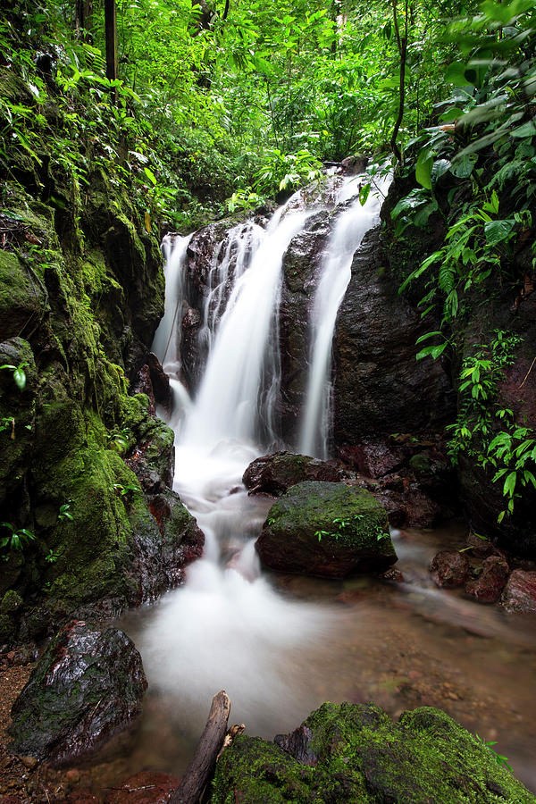 Pura Vida Waterfall Photograph