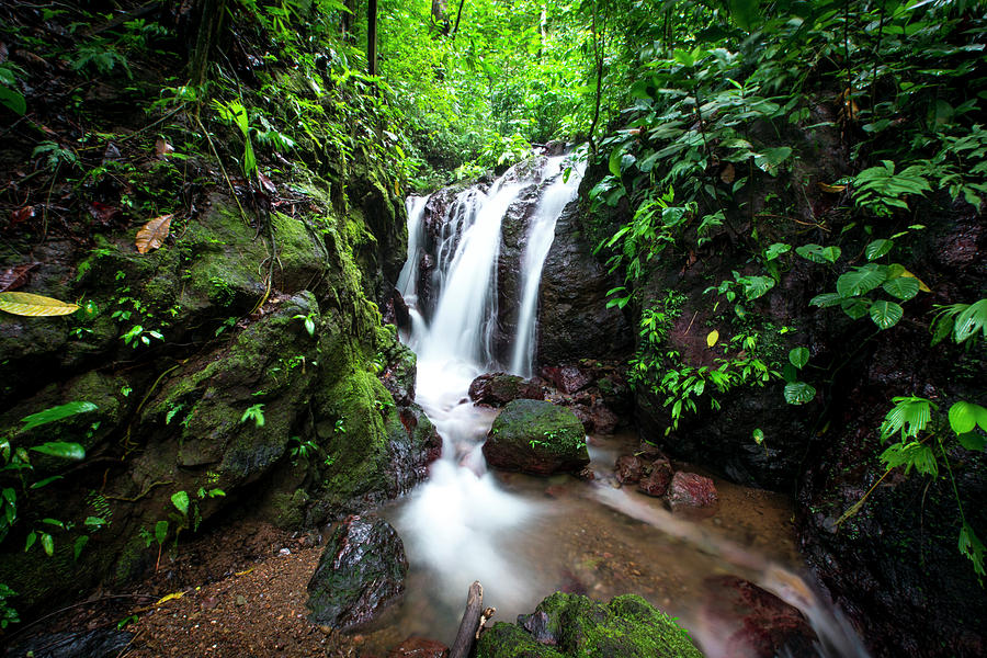 Pura Vida Waterfall Horizontal Photograph by David Morefield