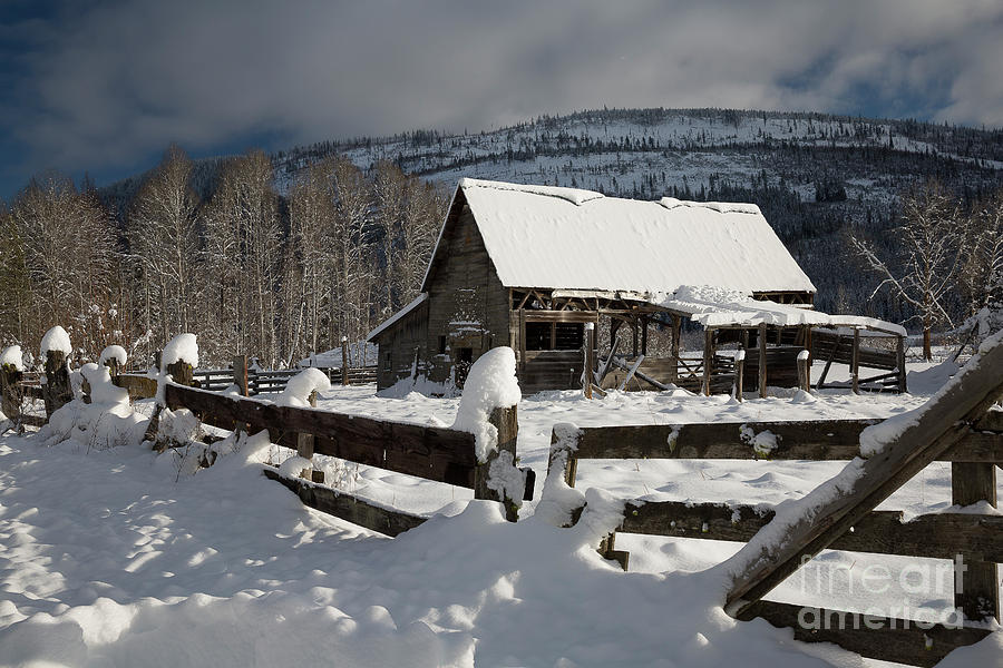 Winter Photograph - Purcell Mtn Barn by Idaho Scenic Images Linda Lantzy