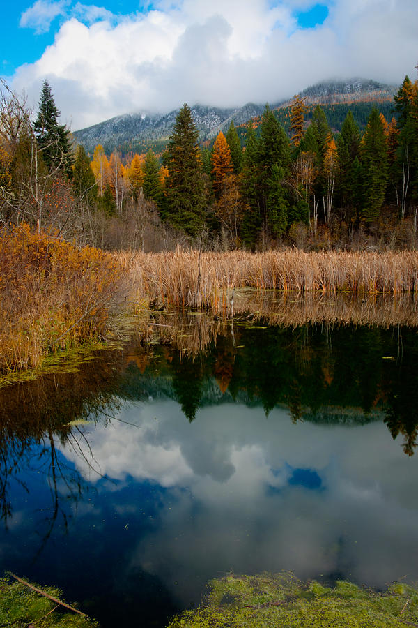 Purcells Reflected Photograph by Idaho Scenic Images Linda Lantzy