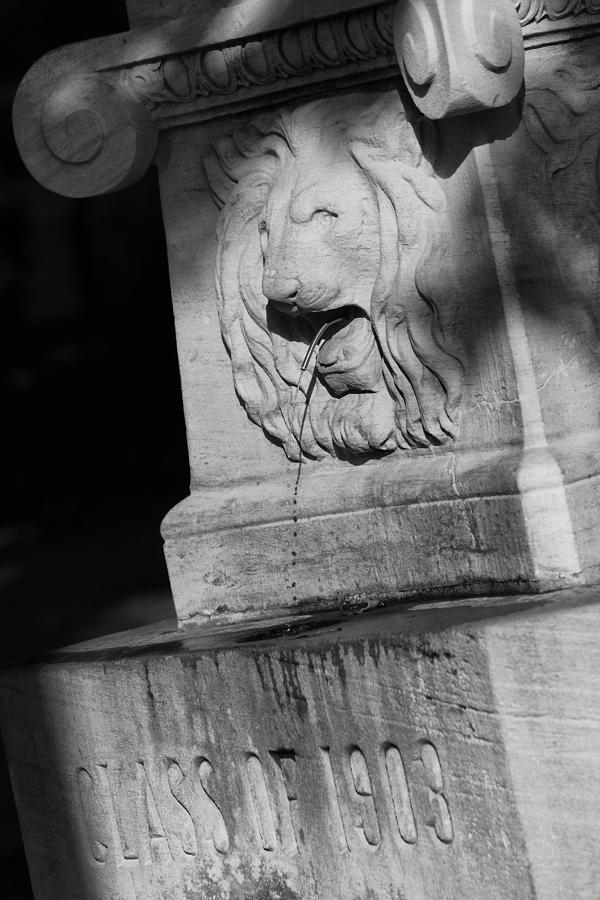 Purdue Lion Fountain Photograph by Coby Cooper