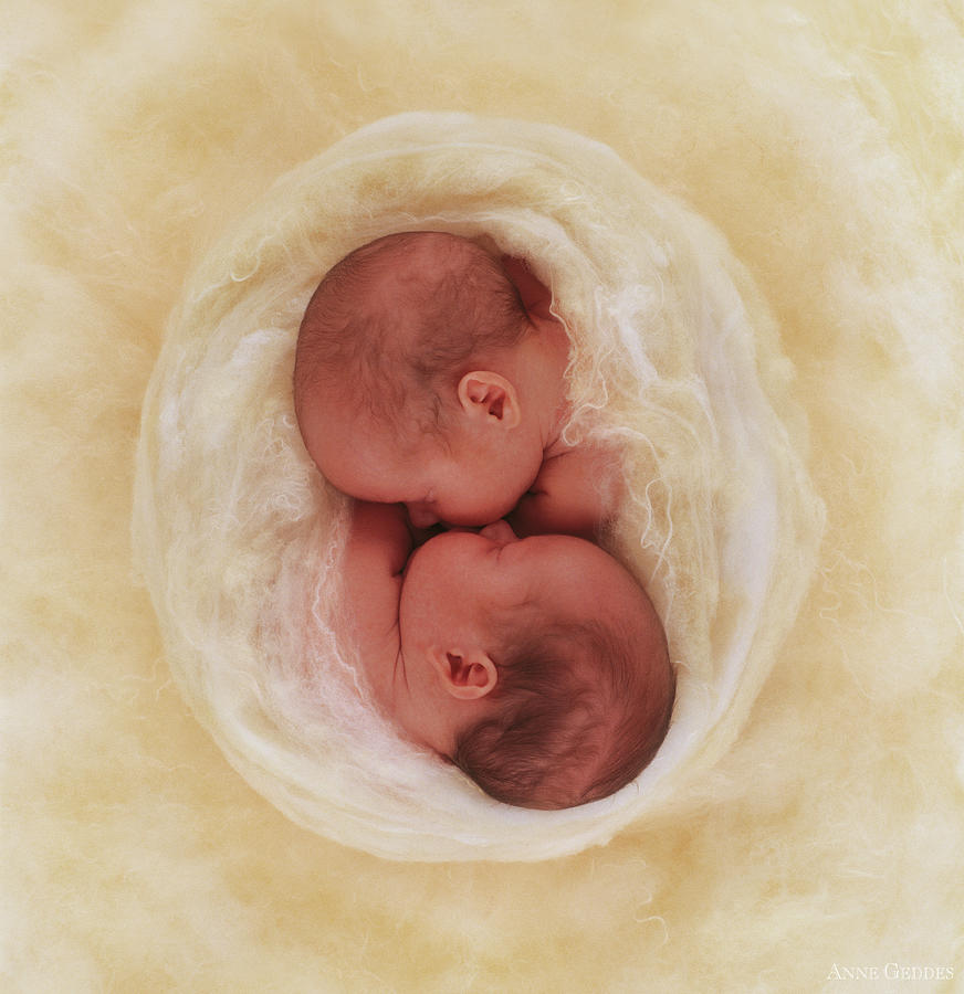 Twins Photograph - Pure by Anne Geddes