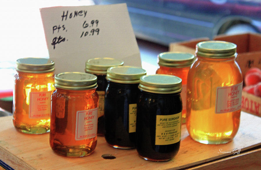 Pure Honey Photograph by Suzanne Gaff