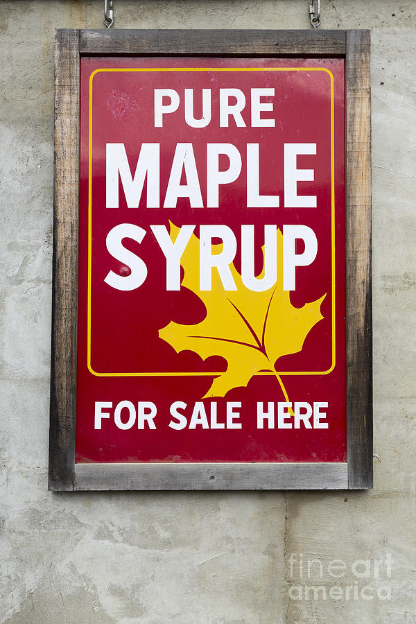 Pure Maple Syrup For Sale Here Sign Photograph