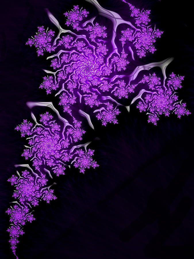 Purple and black fractal floral art Digital Art by Matthias Hauser