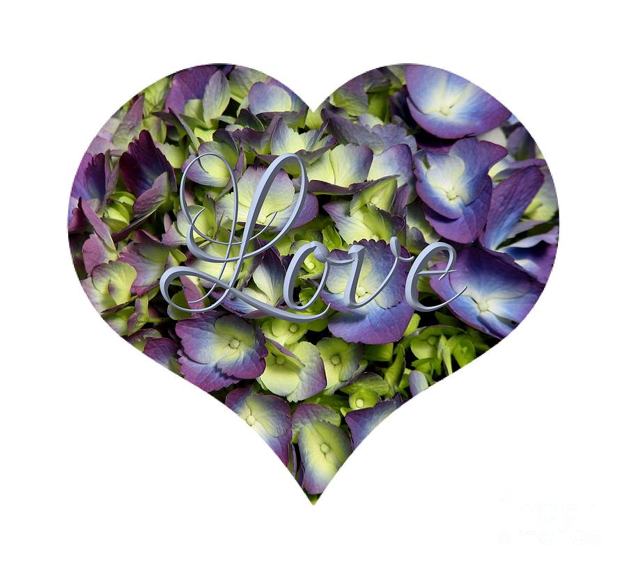 Purple and Cream Hydrangea Flowers Heart with Love Photograph by Rose Santuci-Sofranko