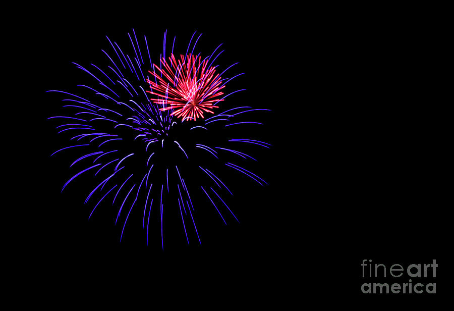 Purple And Pink Fireworks Photograph by Suzanne Luft