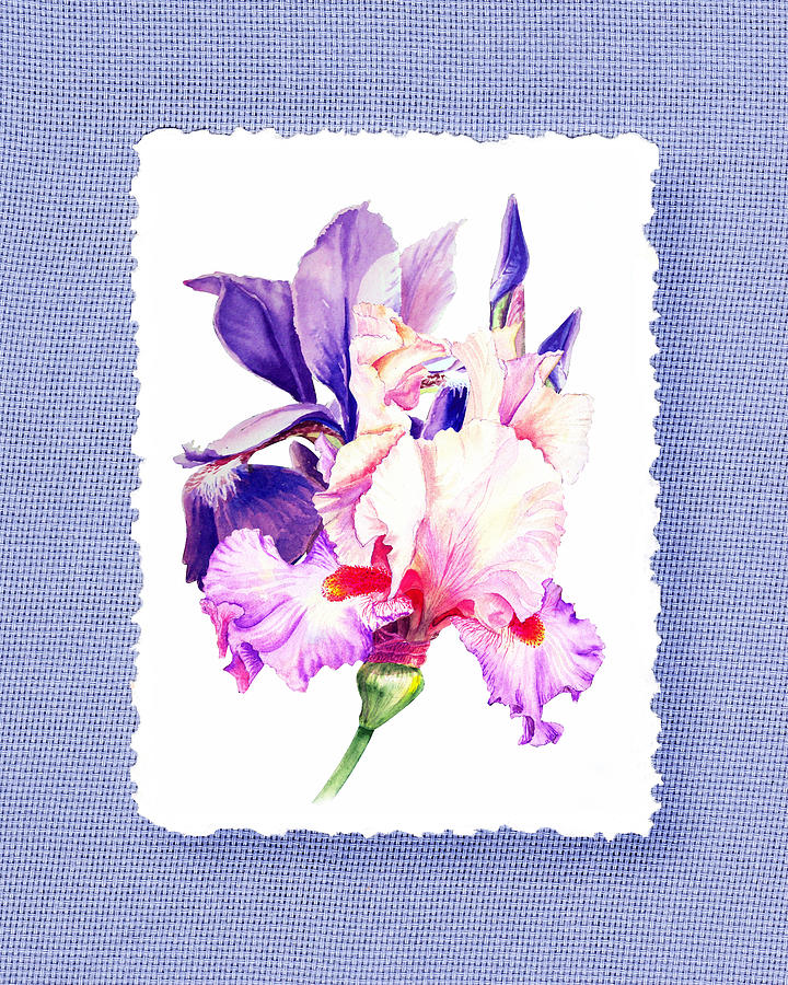 Purple And Pink Iris Flowers Painting by Irina Sztukowski