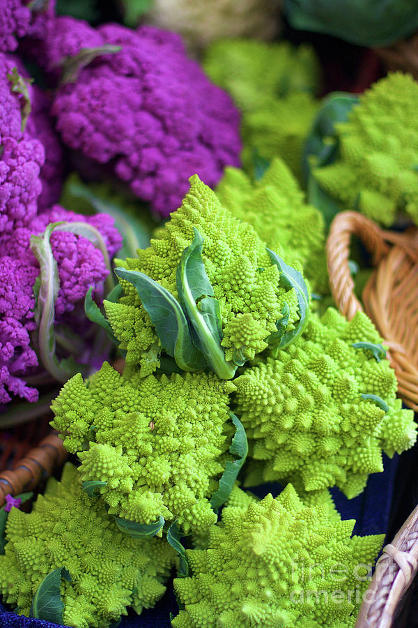 Purple and Romanesco Cauliflower Photograph by Bruce Block