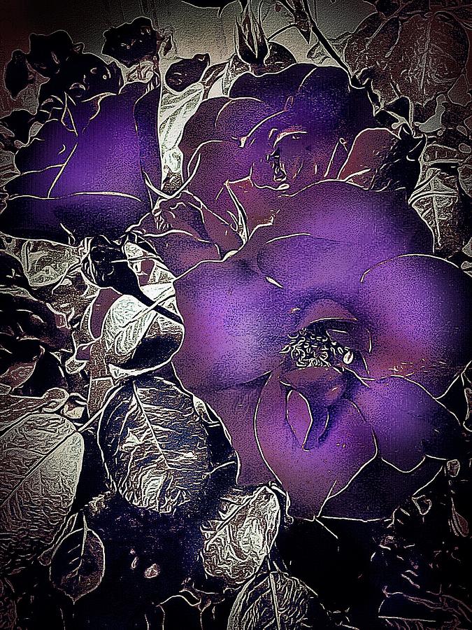Purple and Shabby Roses Digital Art by Anne Sands