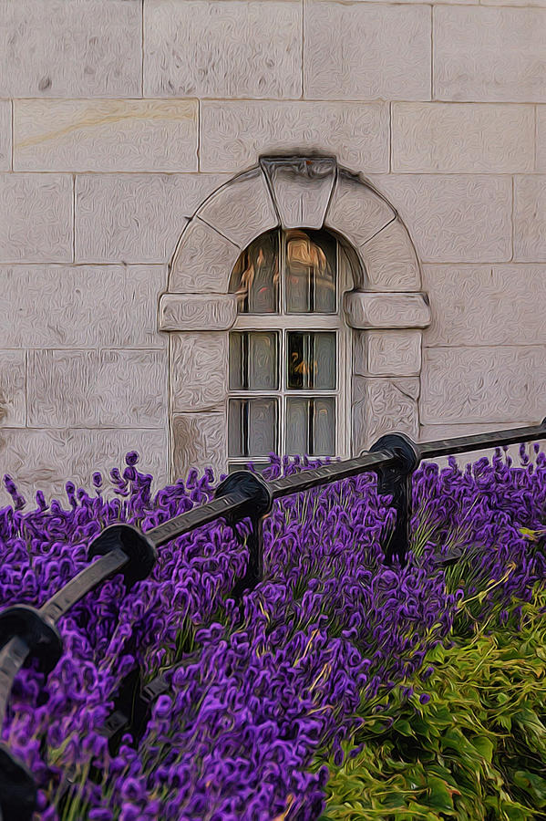 Purple and the window Photograph by Marzena Grabczynska Lorenc