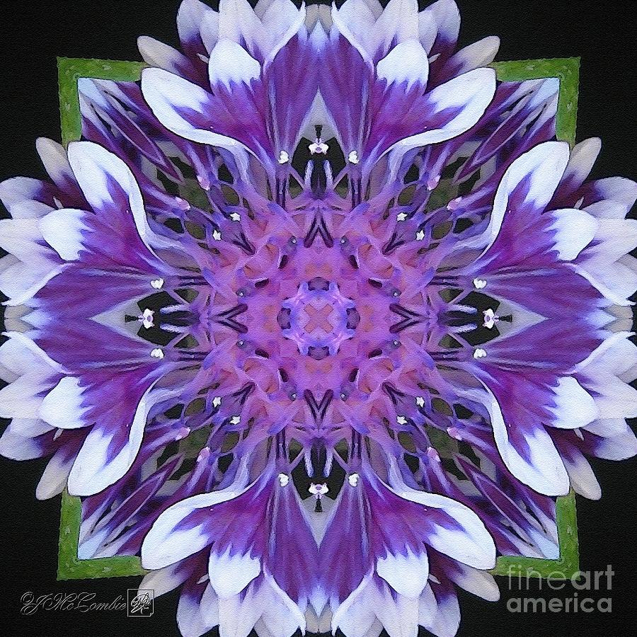 Purple and White Frosted Queen Abstract Digital Art by J McCombie