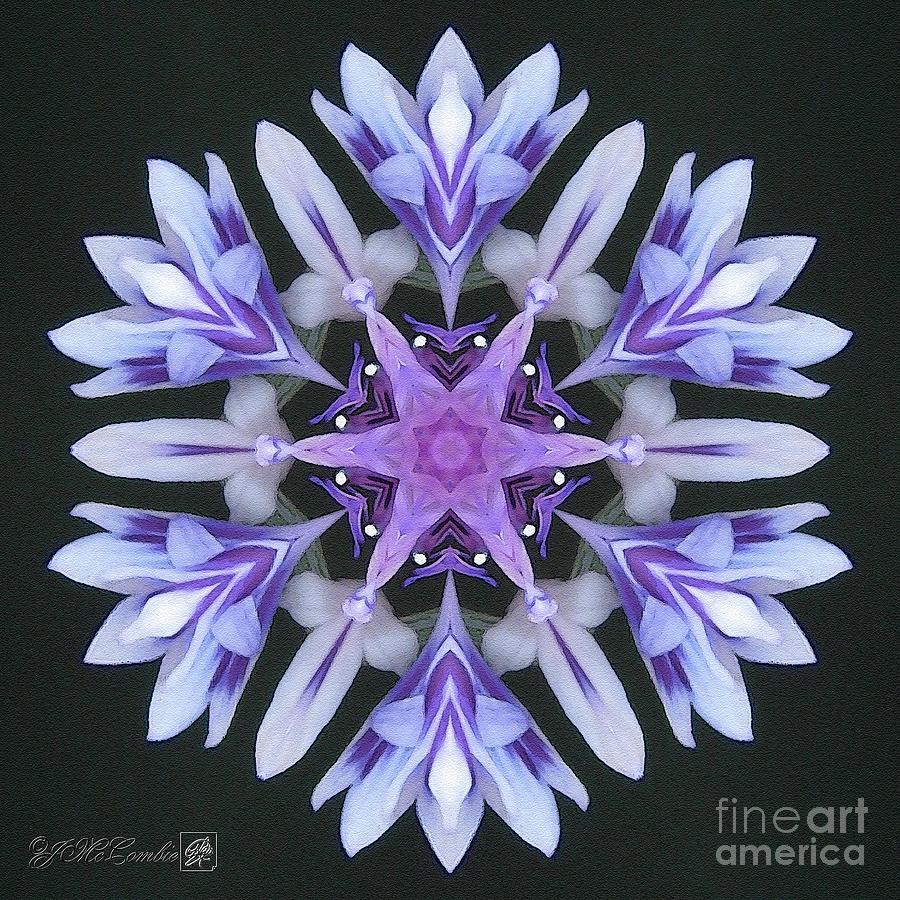 Purple and White Frosted Queen Mandala Digital Art by J McCombie