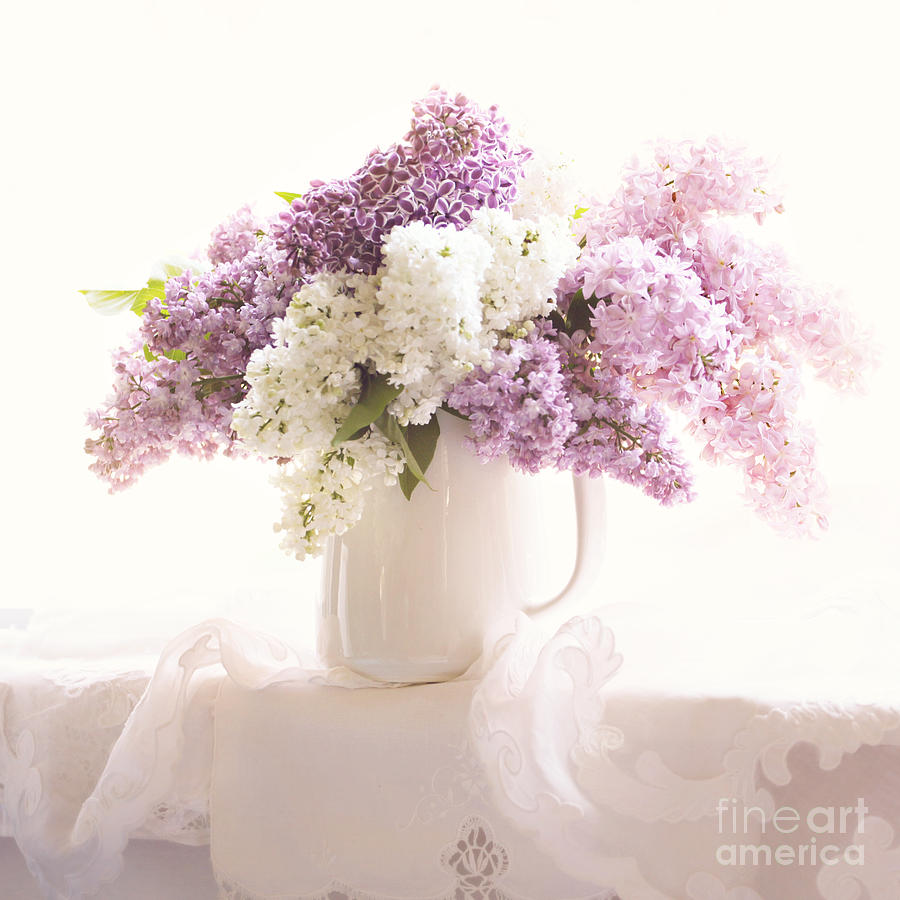 Purple and white lilacs still life Photograph by Sylvia Cook