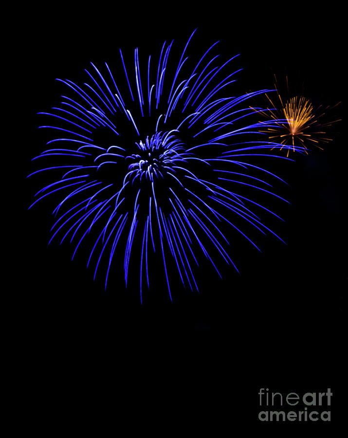 Purple And Yellow Fireworks Photograph by Suzanne Luft