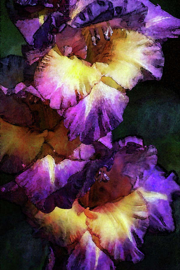 Purple and Yellow Glads Digital Painting 3036 DP_2 Photograph by Steven Ward