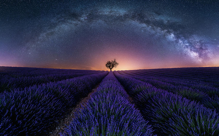 Purple Arch Photograph by Fabio Antenore - Fine Art America