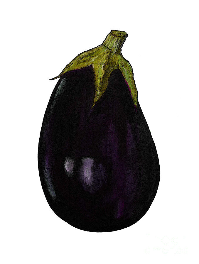 Vegetable Painting - Purple aubergine by Sarah Thompson-Engels