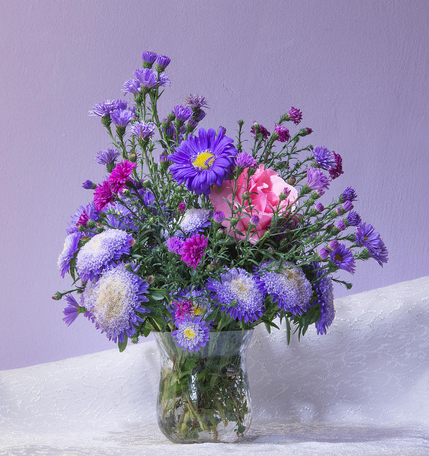 Purple autumn flowers Photograph by Gergana Chakalova | Fine Art America