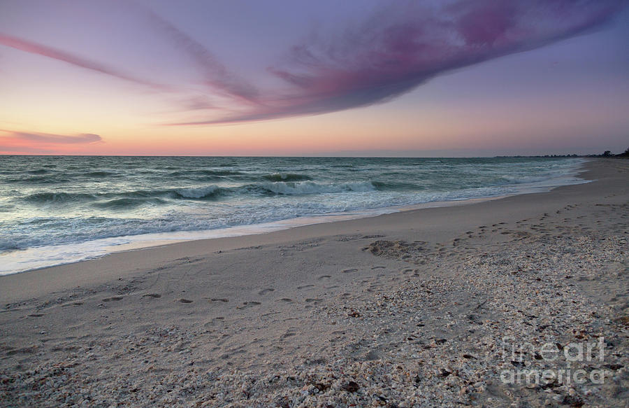 Purple Beach Photograph by Karin Pinkham