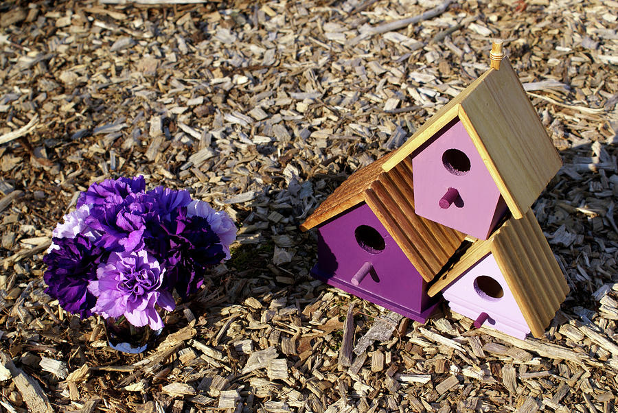Purple Birdhouses 2 Photograph by Douglas Barnett