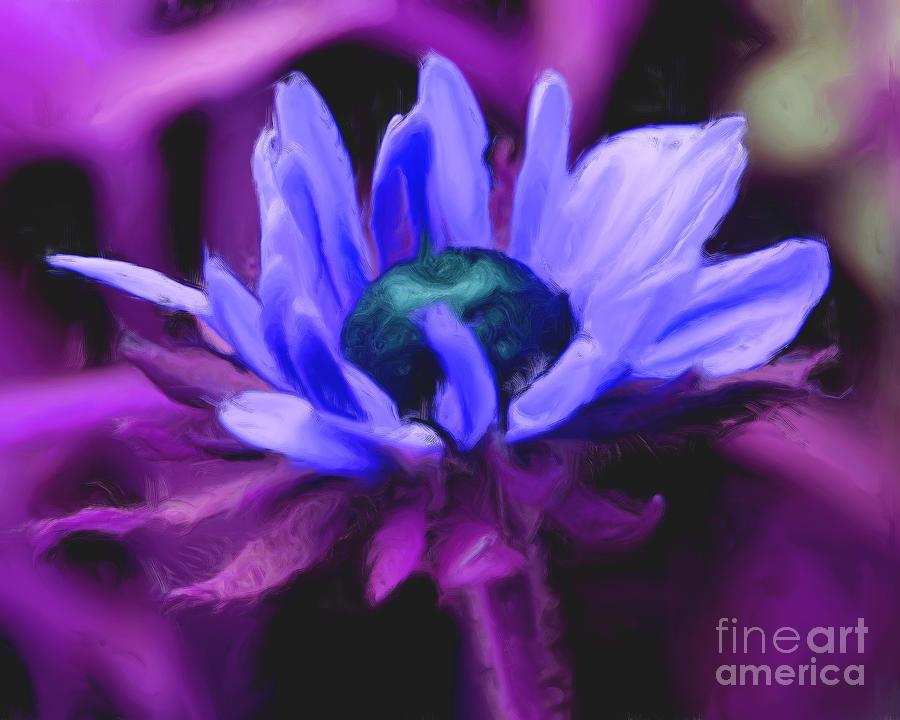 black eyed susan flower purple