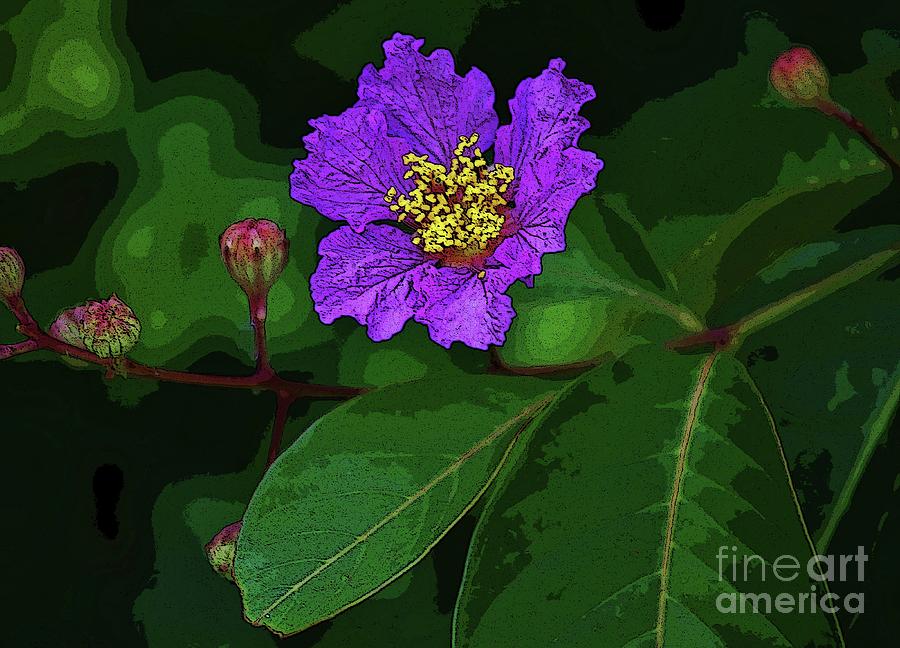 Purple Blossom Photograph by Craig Wood