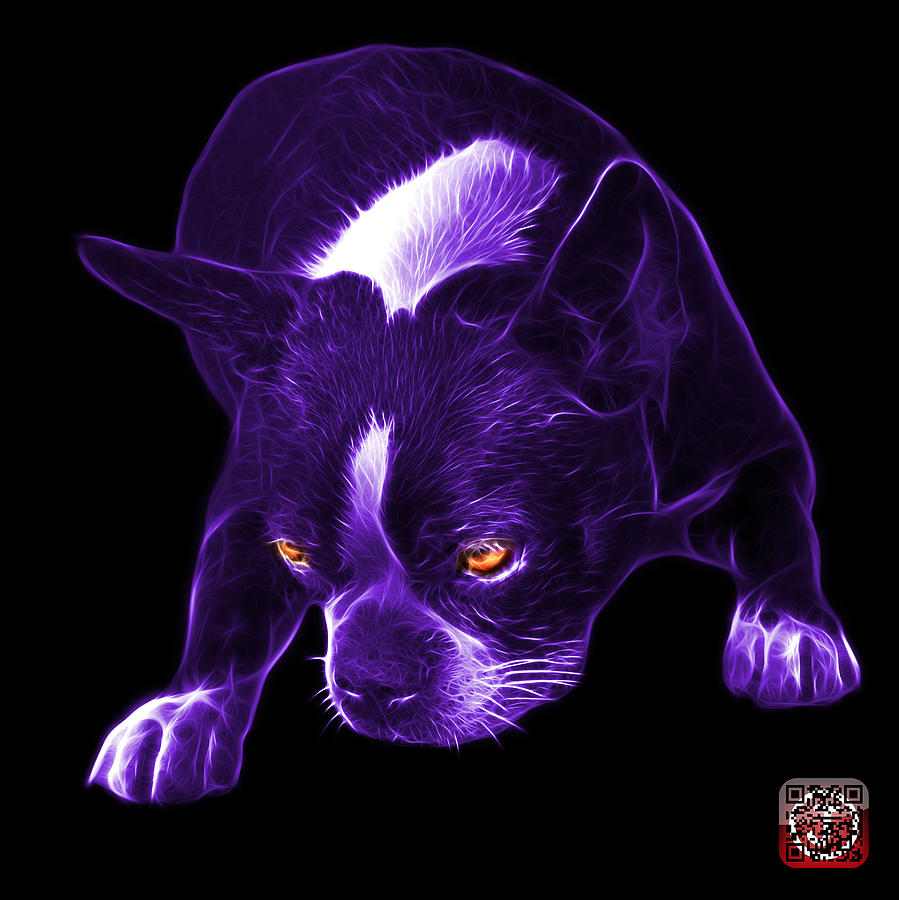 Purple Boston Terrier Art - 8384 - BB Mixed Media by James Ahn