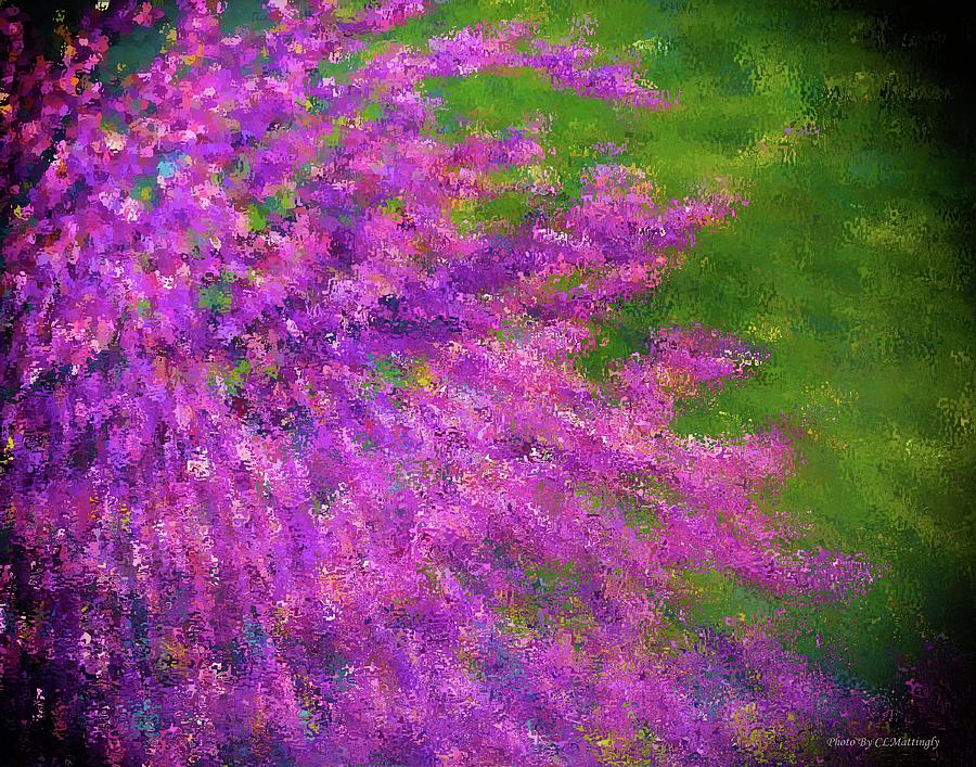 Purple Bush Photograph by Coke Mattingly
