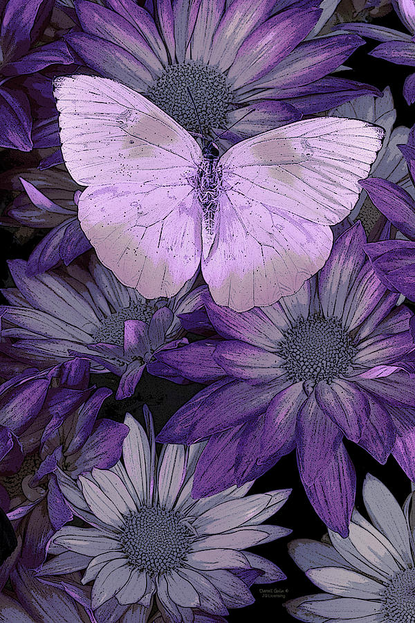 Purple Butterfly Painting by JQ Licensing