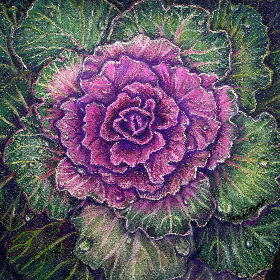 Purple Cabbage Pastel by Tara D Kemp