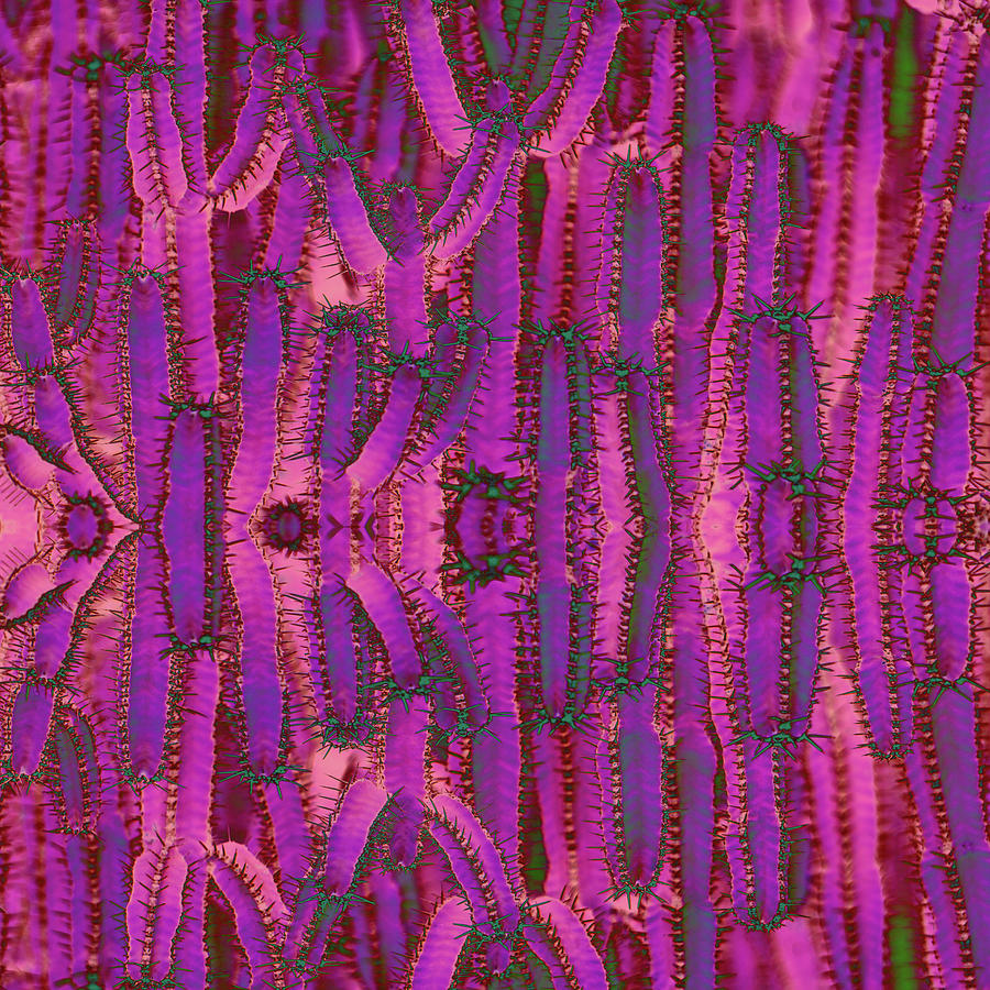 Purple Cactus Digital Art