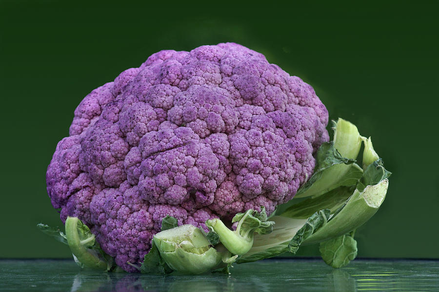 Purple Cauliflower Photograph by Nikolyn McDonald