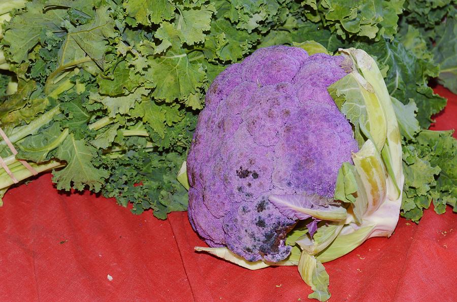 Purple Cauliflower Photograph by Warren Thompson