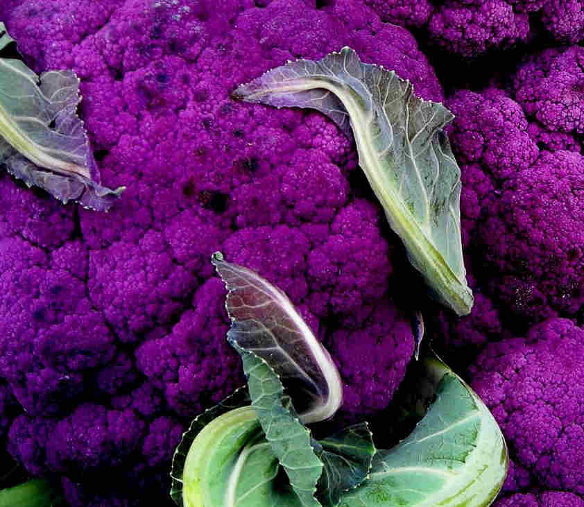 Purple Cauloflower Photograph by Dragica  Micki Fortuna