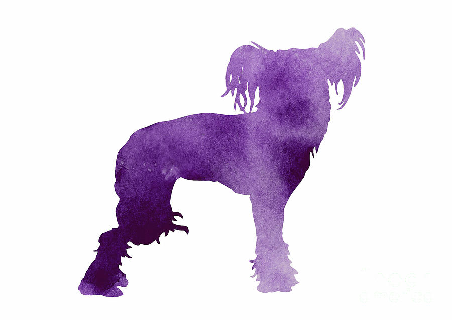 Dog Painting - Purple chinese crested dog silhouette by Joanna Szmerdt