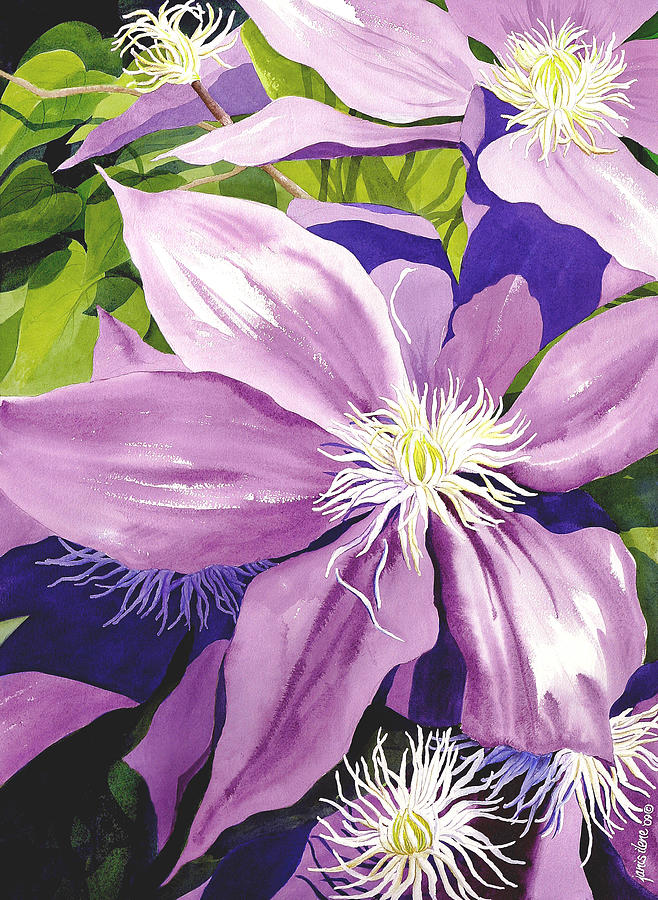 Flowers Still Life Painting - Purple Clematis in Sunlight by Janis Grau