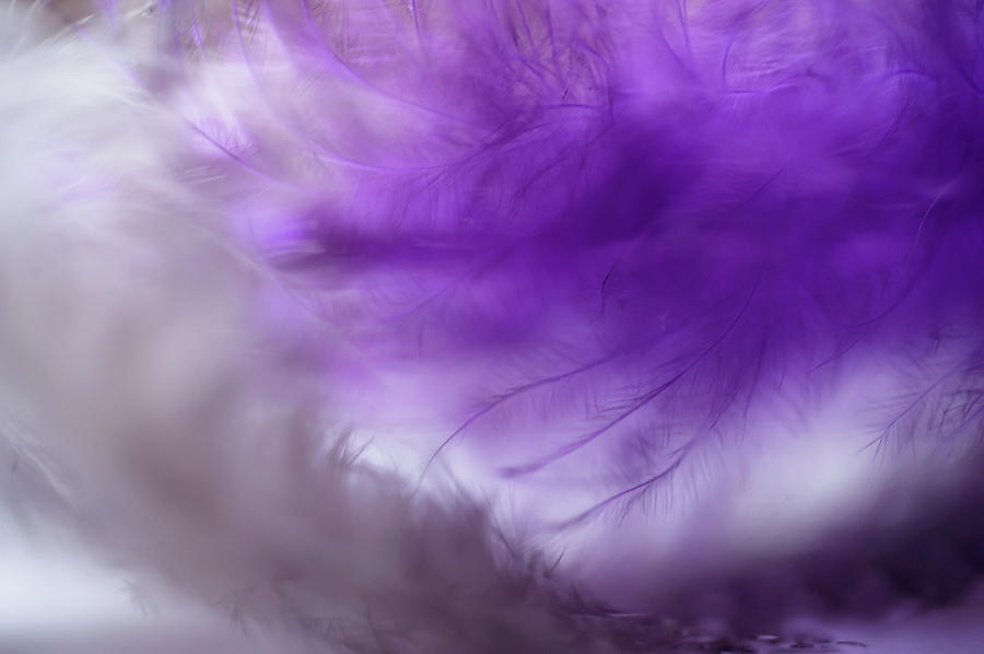 Purple Cloud. Angel Series Photograph by Jenny Rainbow