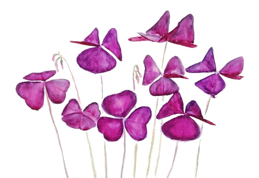 Purple Clover Leaves Painting by Color Color