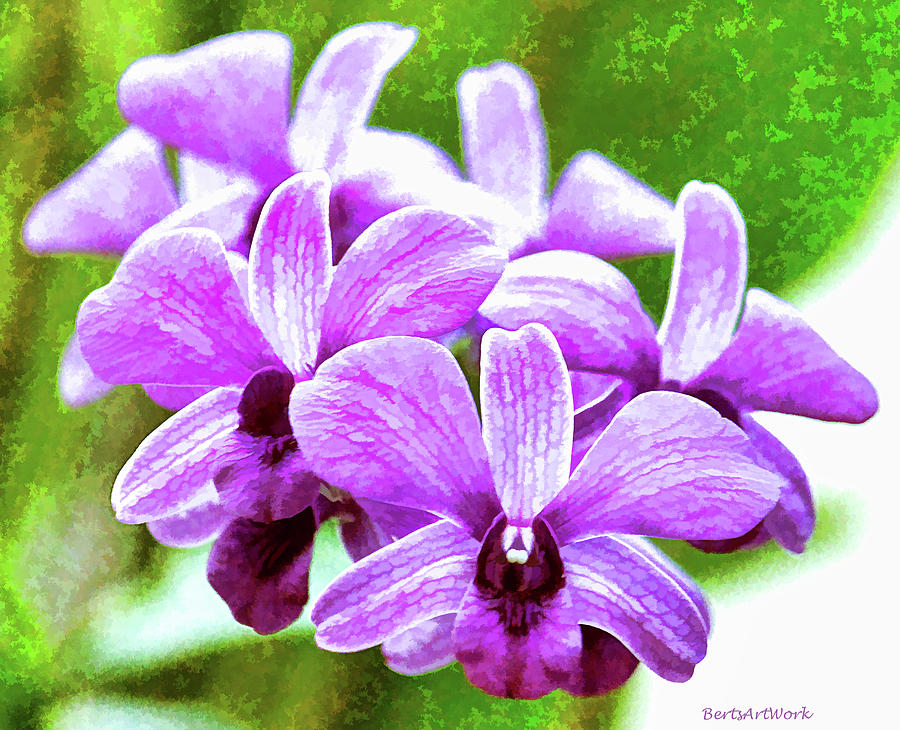 Purple Cluster Orchids Photograph by Roberta Byram