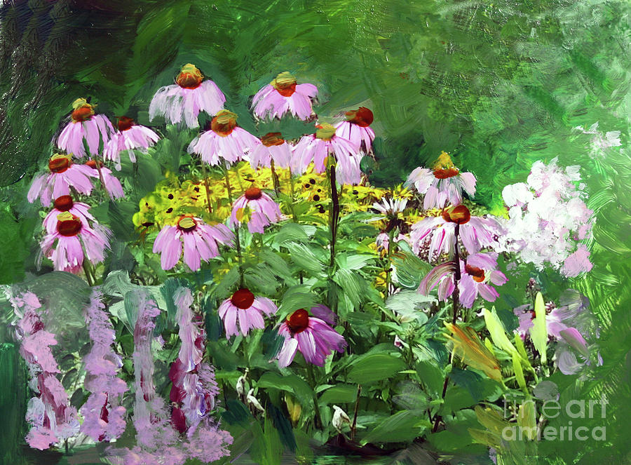 Purple Coneflower in Bloom Painting by Donna Walsh