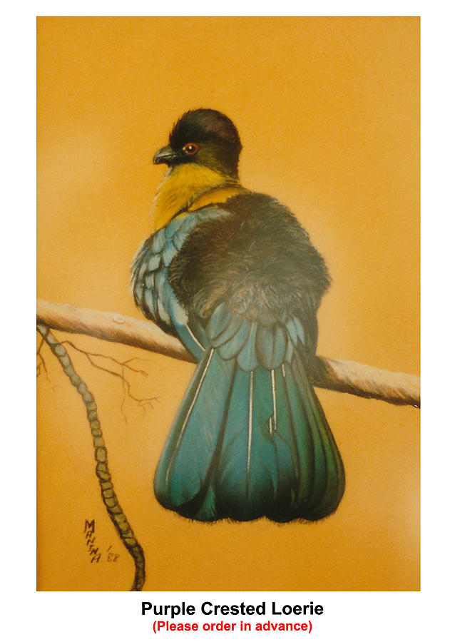 Purple Crested Loerie Pastel by Marie - Helene De Beer