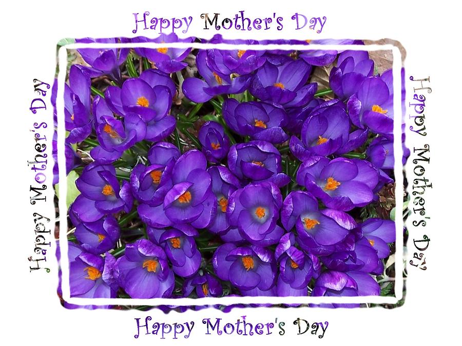 purple mothers day flowers