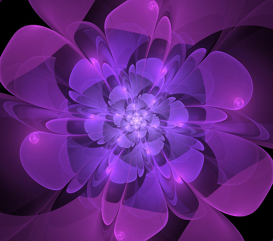 Flower Digital Art - Purple Dew Drops by Anna Bliokh